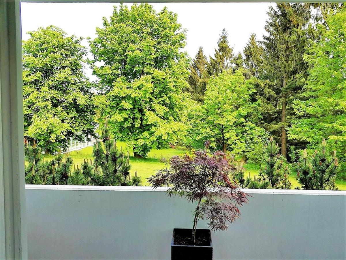 Grossdorf Ferienwohnung Waldsuite Im Harz Goslar Dış mekan fotoğraf